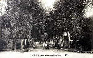 BENI-MERED - AVENUE D'OUED-EL-ALLEUG - 1918